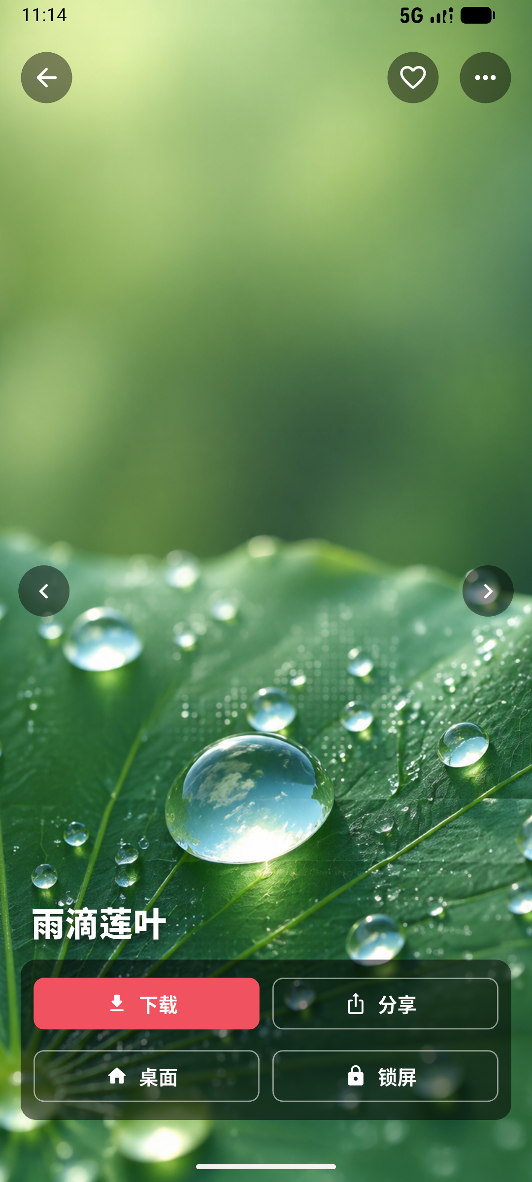 画境壁纸详情页截图，展示全屏壁纸预览和操作按钮